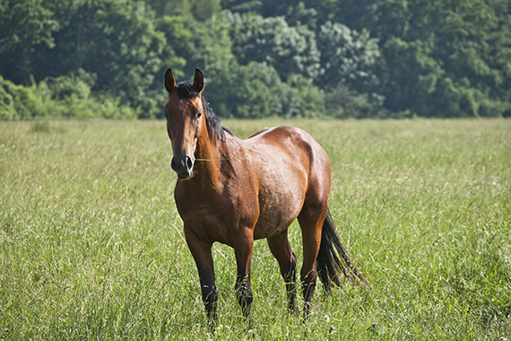Fotogalerie Dvůr Seletice